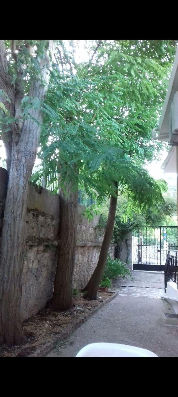 Karya House Apartment Karia  Exterior photo